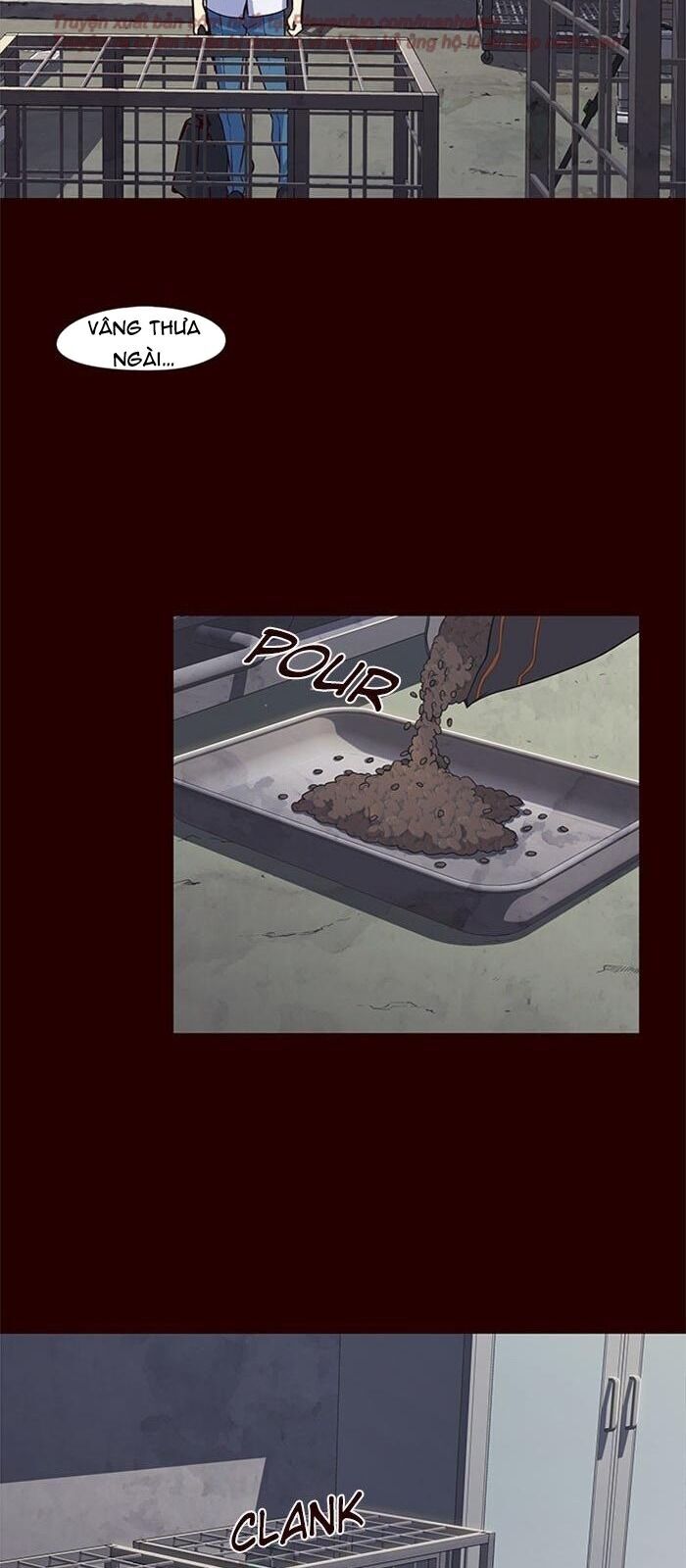 Hoá Thân Thành Mèo - Chapter 36 - Page 23