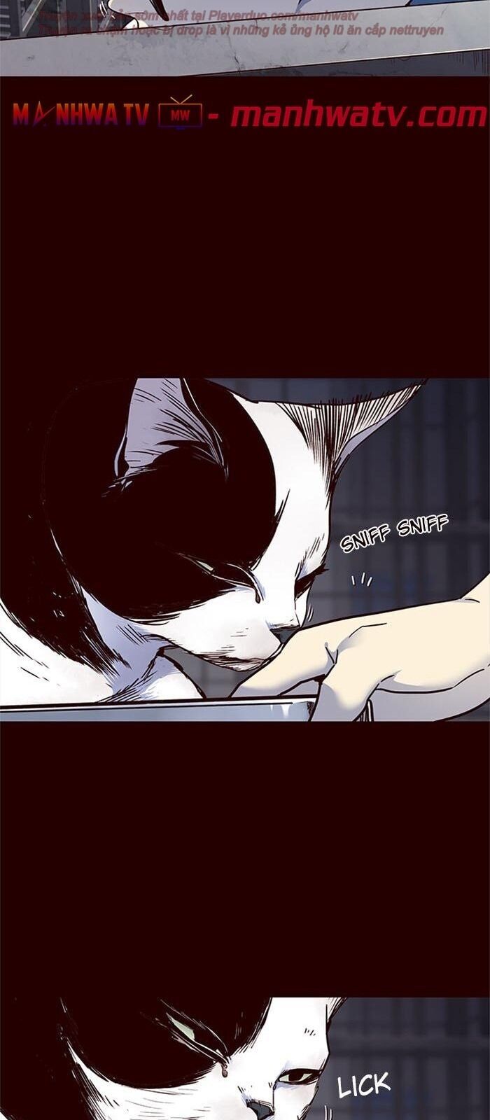 Hoá Thân Thành Mèo - Chapter 36 - Page 27