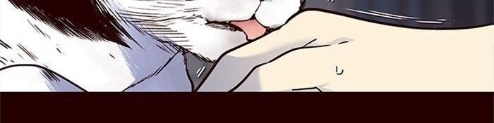 Hoá Thân Thành Mèo - Chapter 36 - Page 28