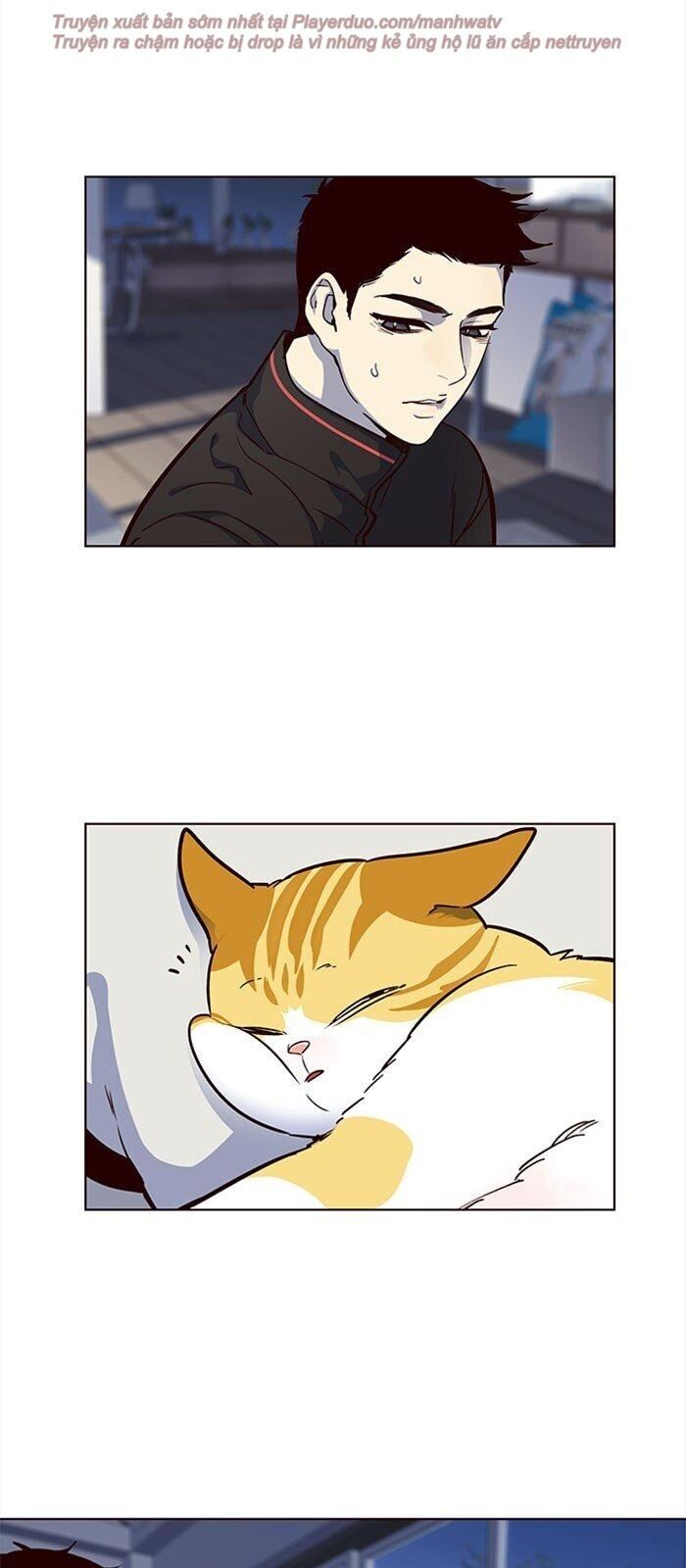Hoá Thân Thành Mèo - Chapter 36 - Page 55