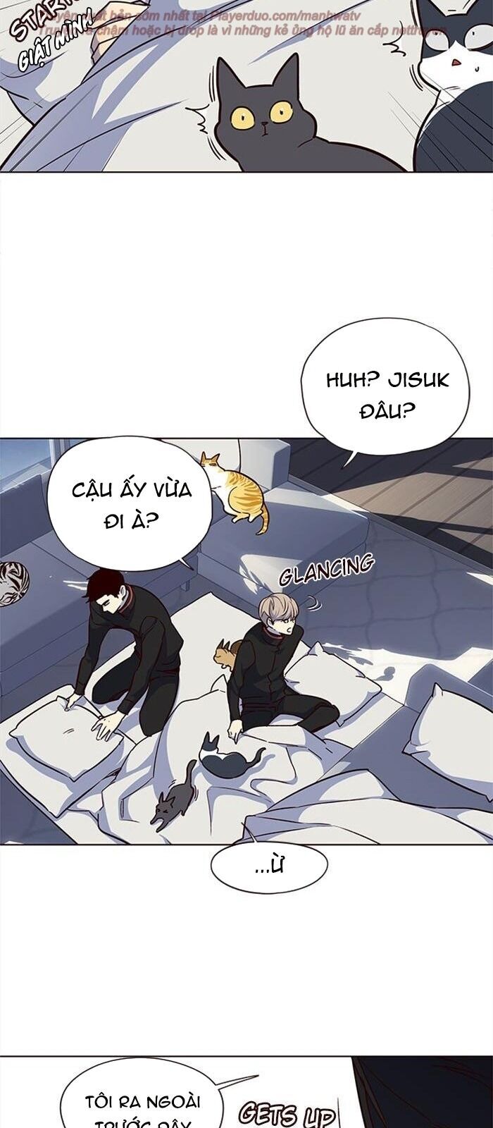 Hoá Thân Thành Mèo - Chapter 36 - Page 67