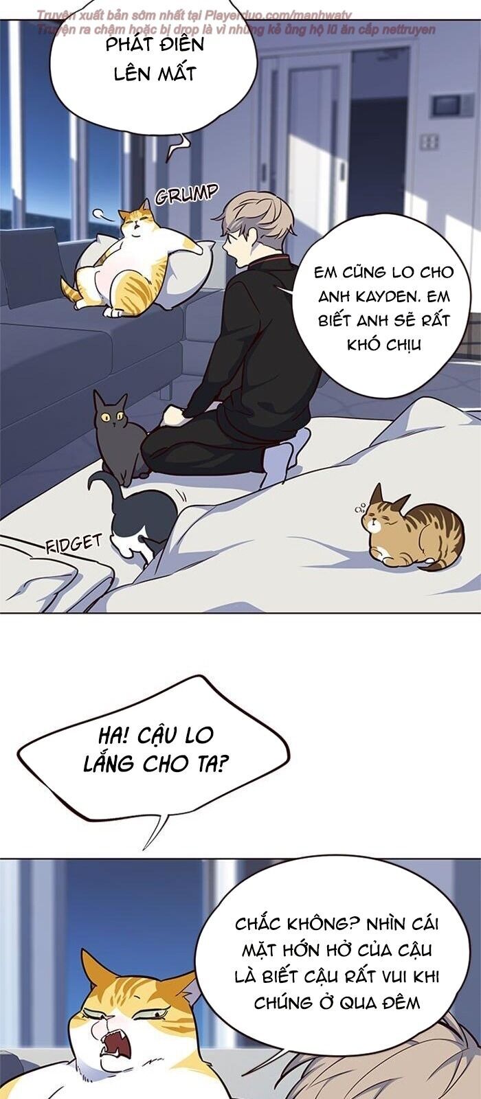Hoá Thân Thành Mèo - Chapter 36 - Page 75
