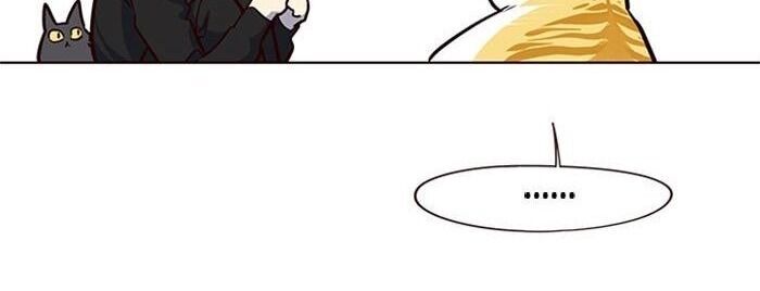 Hoá Thân Thành Mèo - Chapter 36 - Page 78