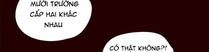 Hoá Thân Thành Mèo - Chapter 36 - Page 8