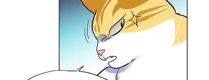 Hoá Thân Thành Mèo - Chapter 36 - Page 80