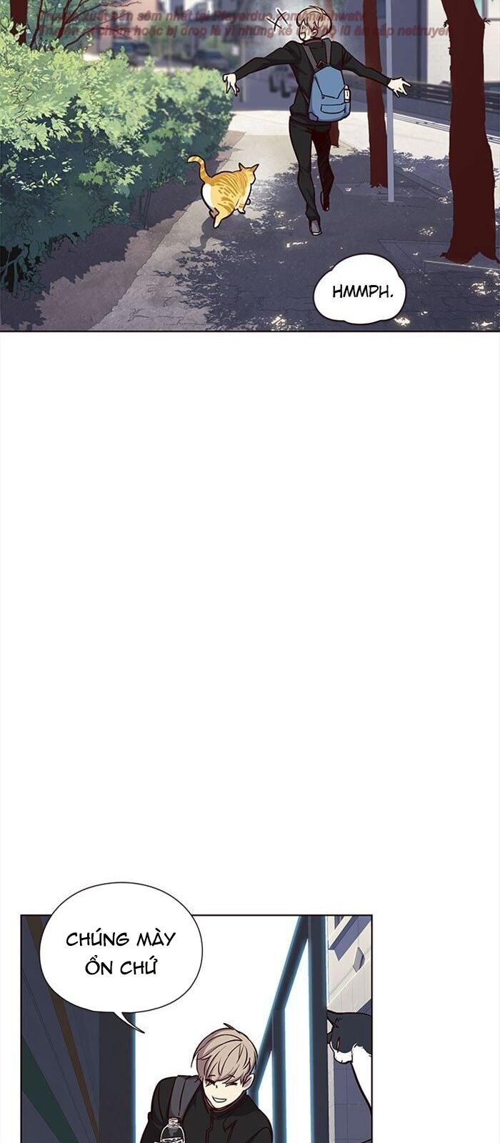 Hoá Thân Thành Mèo - Chapter 36 - Page 91