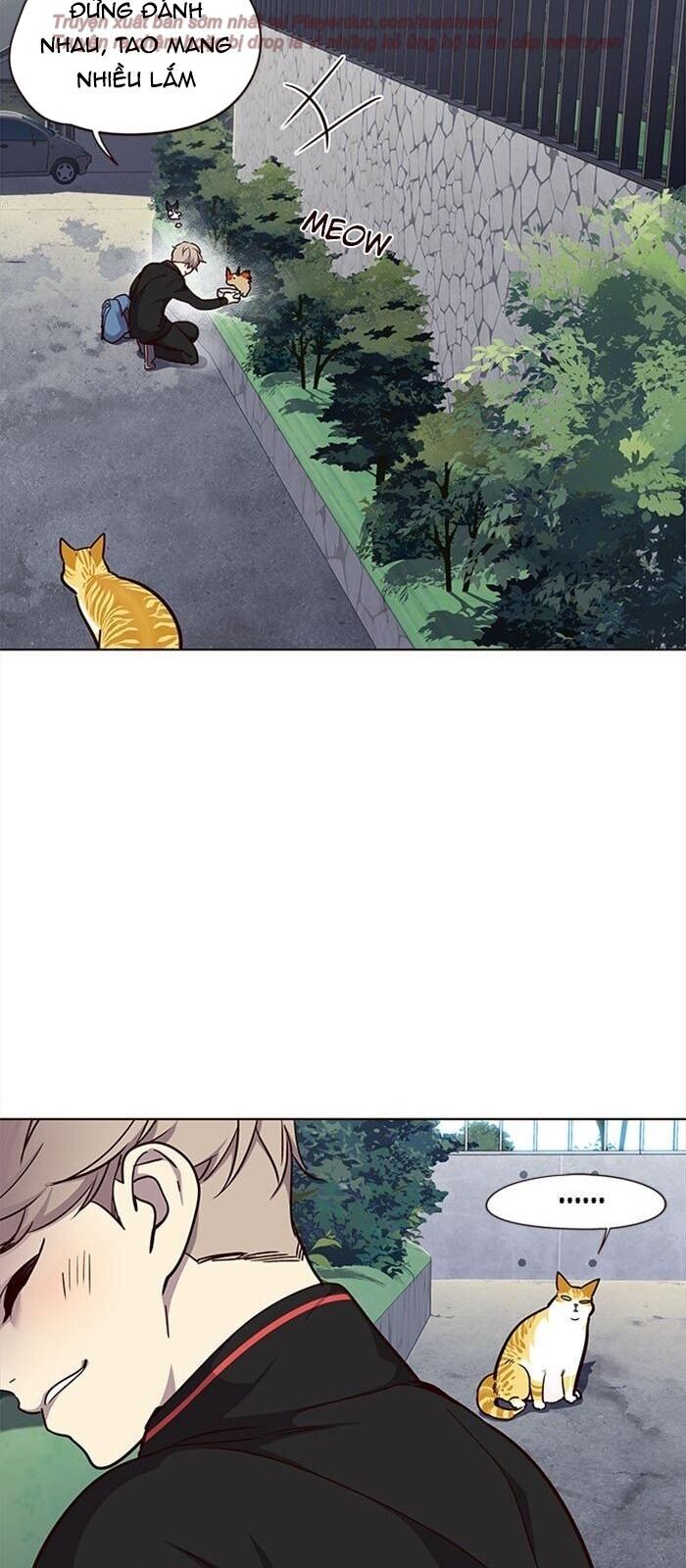 Hoá Thân Thành Mèo - Chapter 36 - Page 95