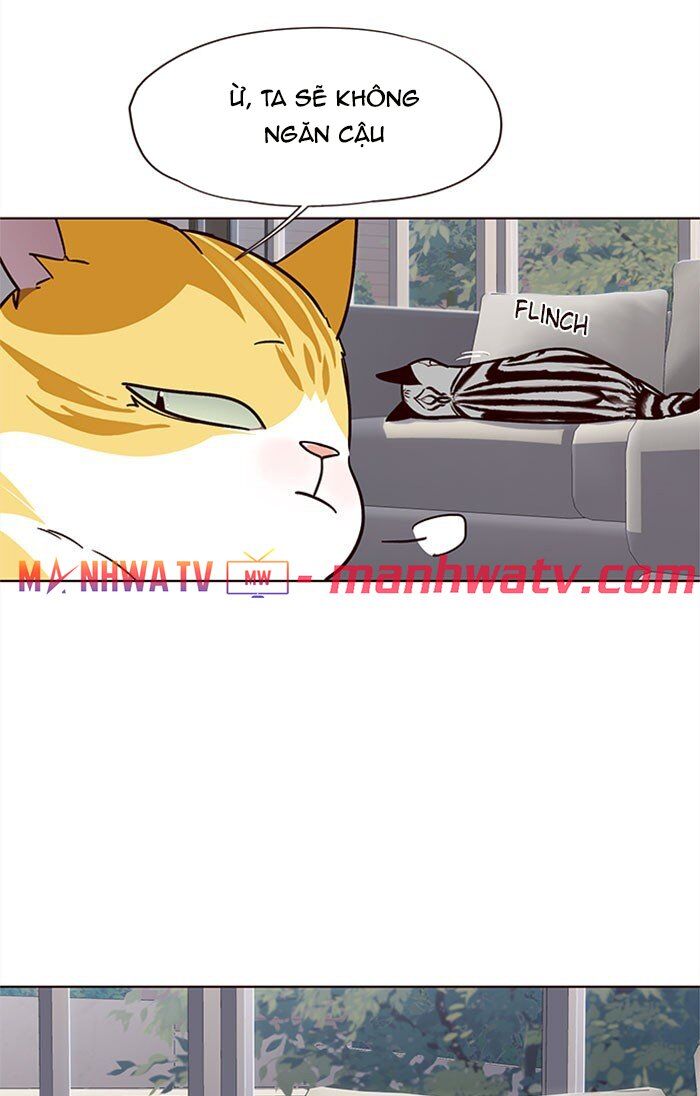 Hoá Thân Thành Mèo - Chapter 37 - Page 32