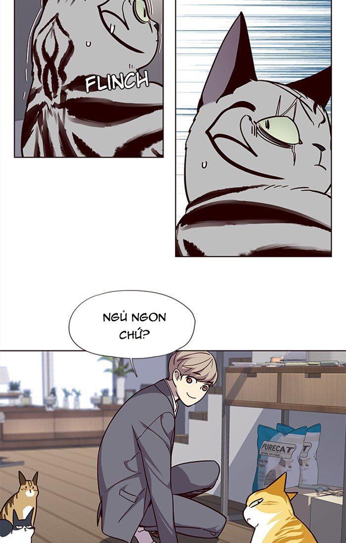 Hoá Thân Thành Mèo - Chapter 37 - Page 34