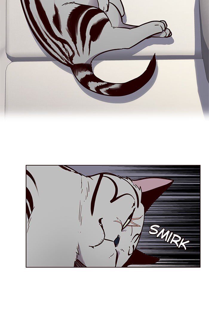 Hoá Thân Thành Mèo - Chapter 37 - Page 39