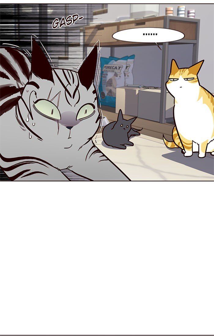 Hoá Thân Thành Mèo - Chapter 37 - Page 41