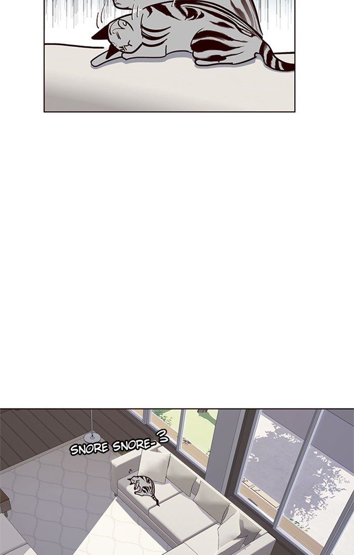 Hoá Thân Thành Mèo - Chapter 37 - Page 43