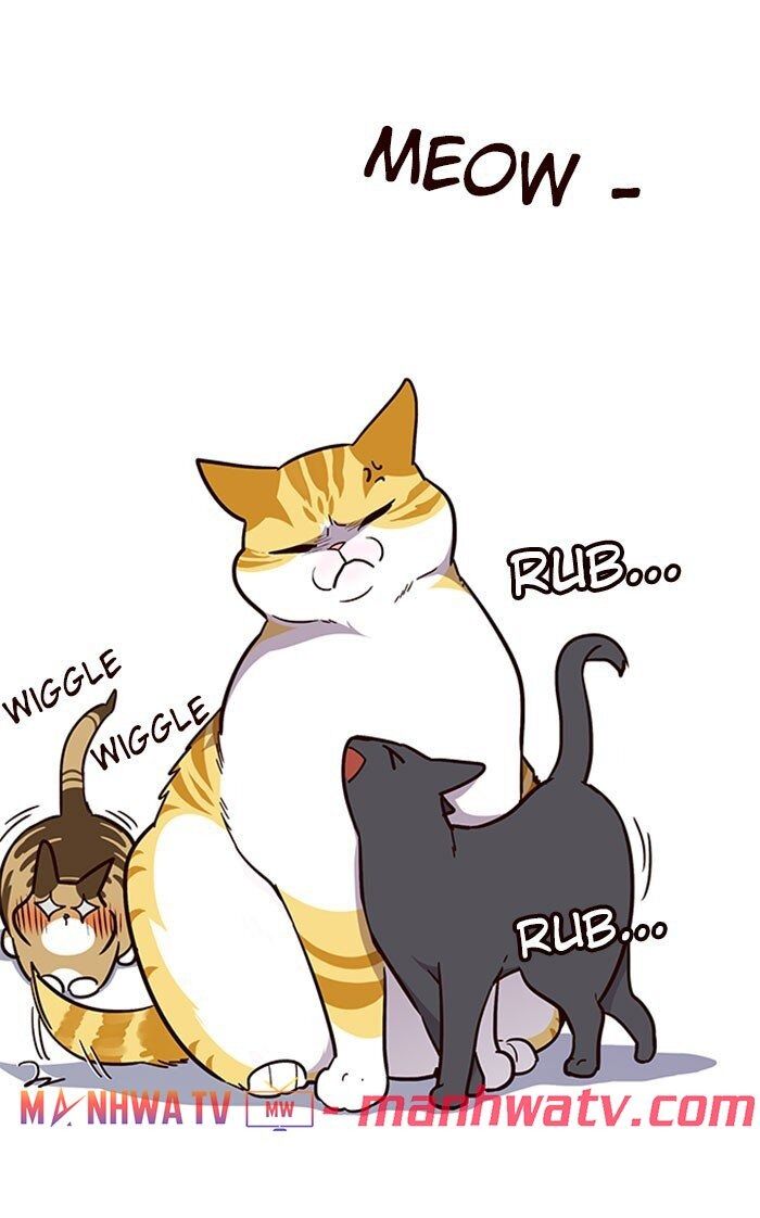 Hoá Thân Thành Mèo - Chapter 37 - Page 49
