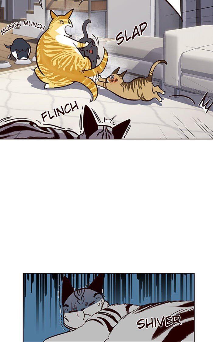 Hoá Thân Thành Mèo - Chapter 37 - Page 51