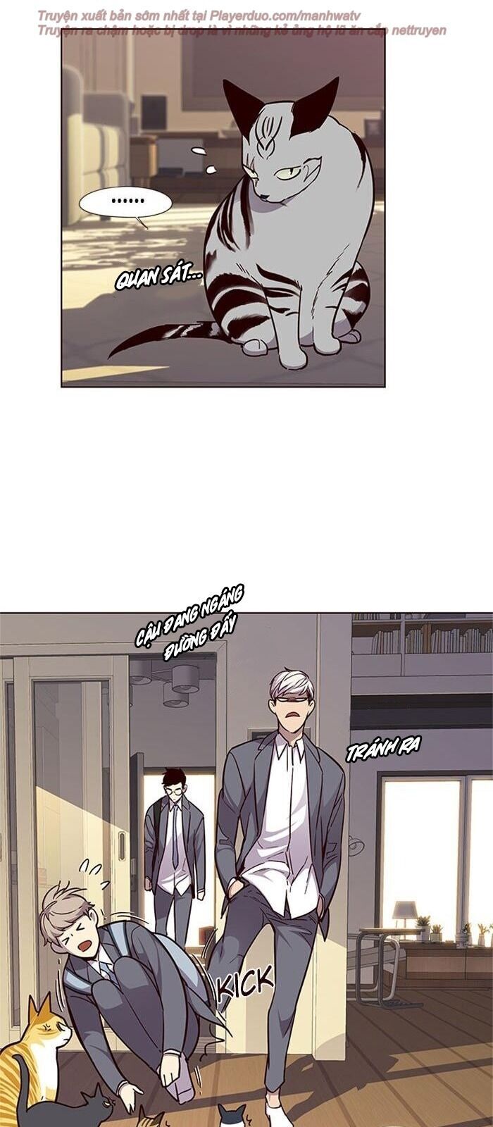 Hoá Thân Thành Mèo - Chapter 38 - Page 33