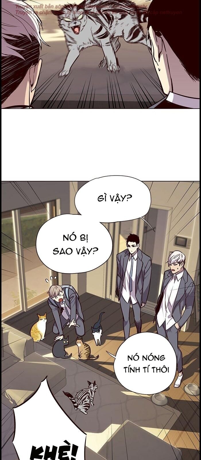 Hoá Thân Thành Mèo - Chapter 38 - Page 37