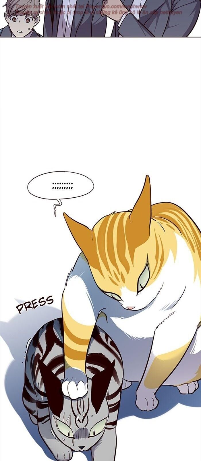 Hoá Thân Thành Mèo - Chapter 38 - Page 43