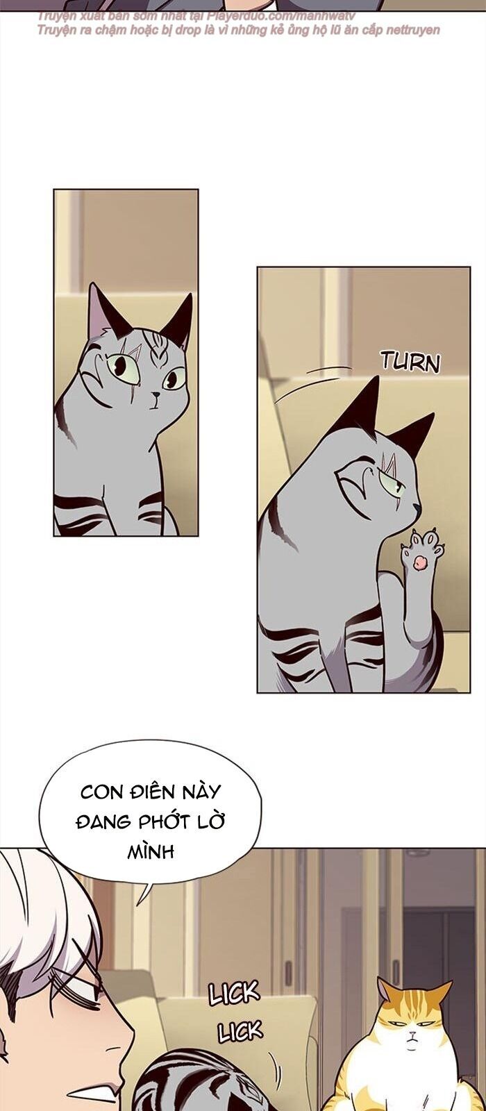 Hoá Thân Thành Mèo - Chapter 38 - Page 69