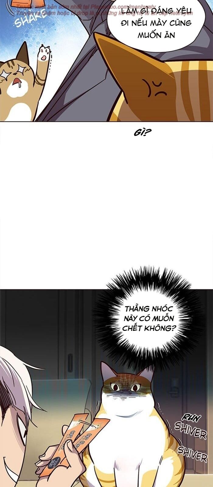 Hoá Thân Thành Mèo - Chapter 38 - Page 73