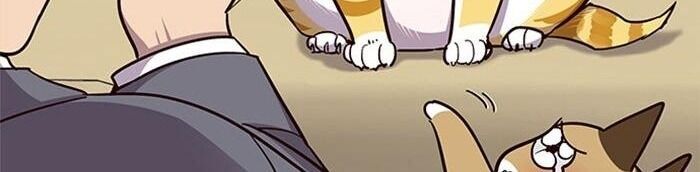 Hoá Thân Thành Mèo - Chapter 38 - Page 74