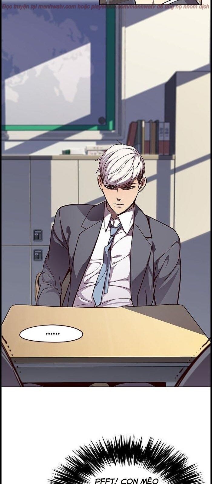 Hoá Thân Thành Mèo - Chapter 39 - Page 13