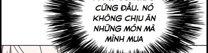 Hoá Thân Thành Mèo - Chapter 39 - Page 14