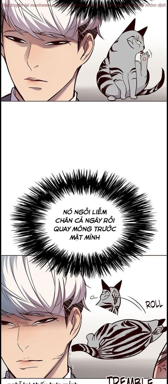 Hoá Thân Thành Mèo - Chapter 39 - Page 15