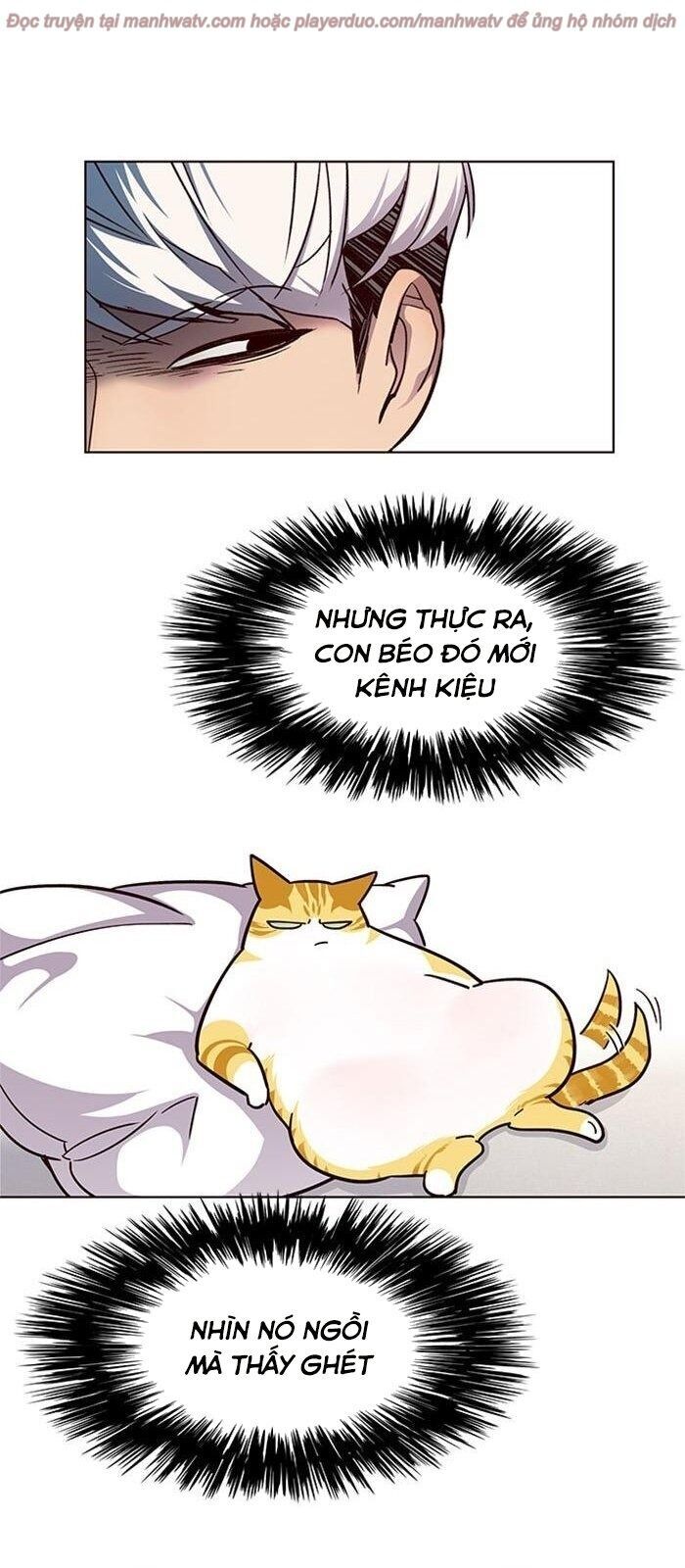Hoá Thân Thành Mèo - Chapter 39 - Page 17