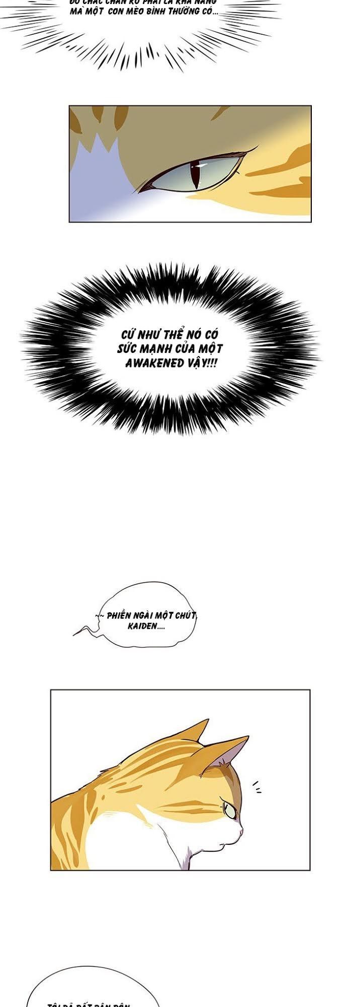 Hoá Thân Thành Mèo - Chapter 4 - Page 11