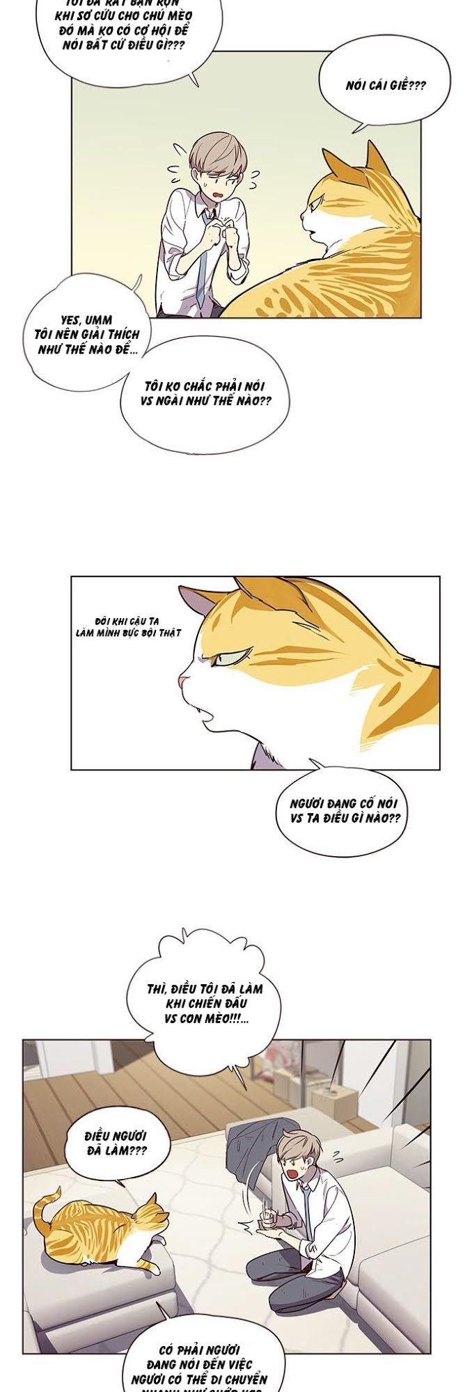 Hoá Thân Thành Mèo - Chapter 4 - Page 12
