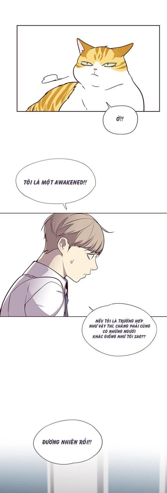 Hoá Thân Thành Mèo - Chapter 4 - Page 17