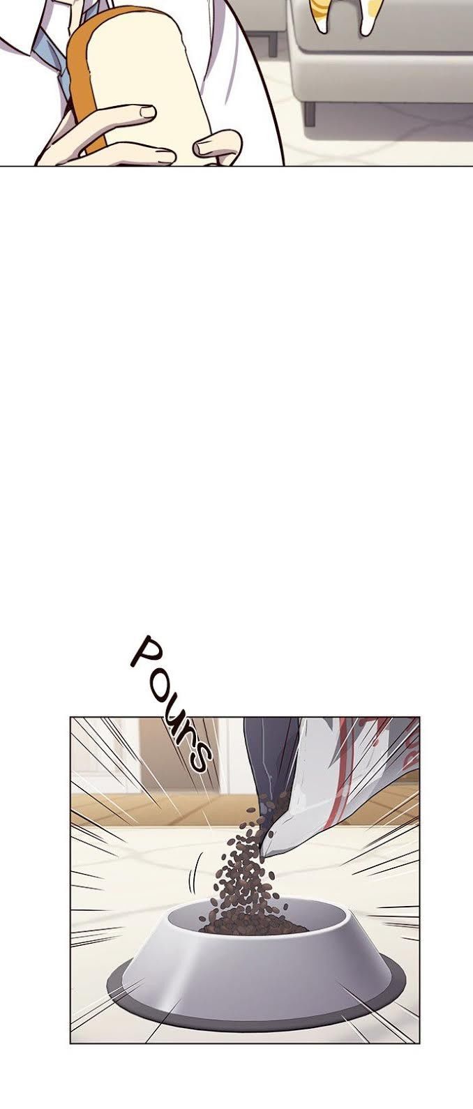 Hoá Thân Thành Mèo - Chapter 4 - Page 33