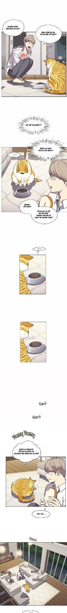 Hoá Thân Thành Mèo - Chapter 4 - Page 34
