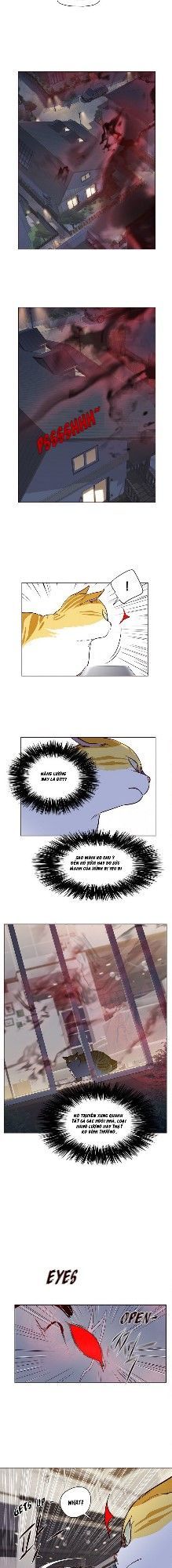 Hoá Thân Thành Mèo - Chapter 4 - Page 35