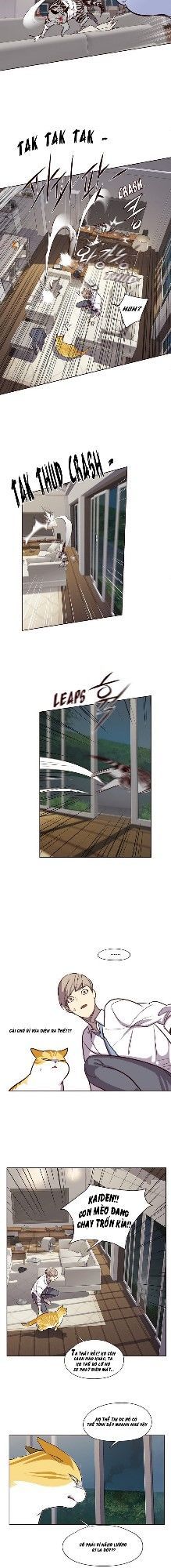 Hoá Thân Thành Mèo - Chapter 4 - Page 36