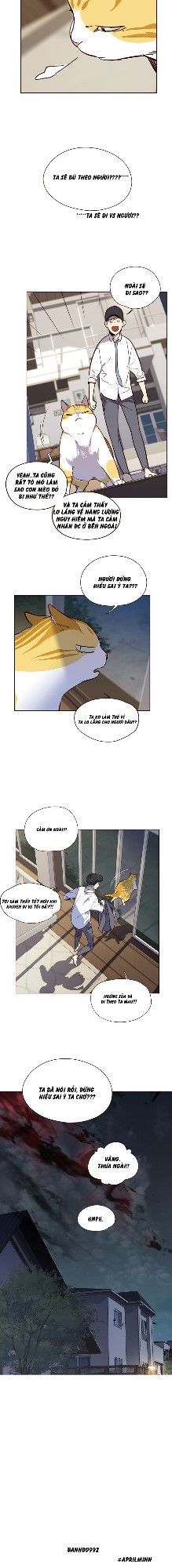 Hoá Thân Thành Mèo - Chapter 4 - Page 38