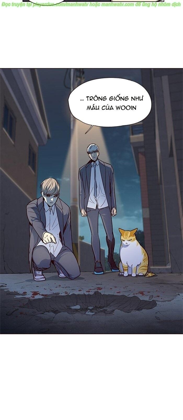 Hoá Thân Thành Mèo - Chapter 41 - Page 51