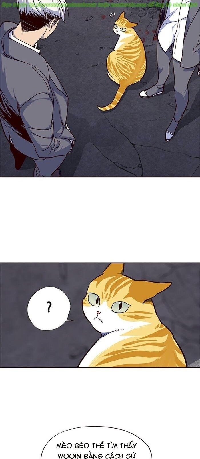 Hoá Thân Thành Mèo - Chapter 41 - Page 63