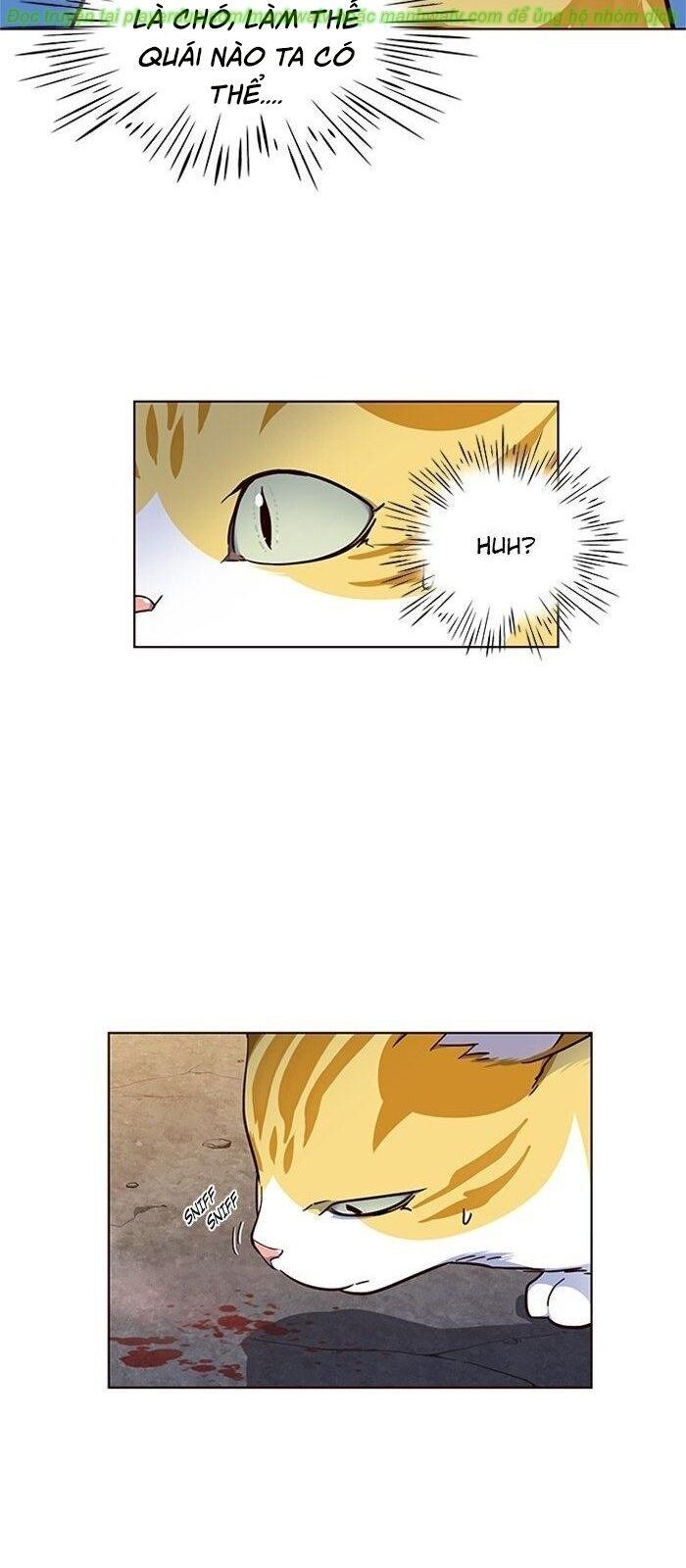 Hoá Thân Thành Mèo - Chapter 41 - Page 67