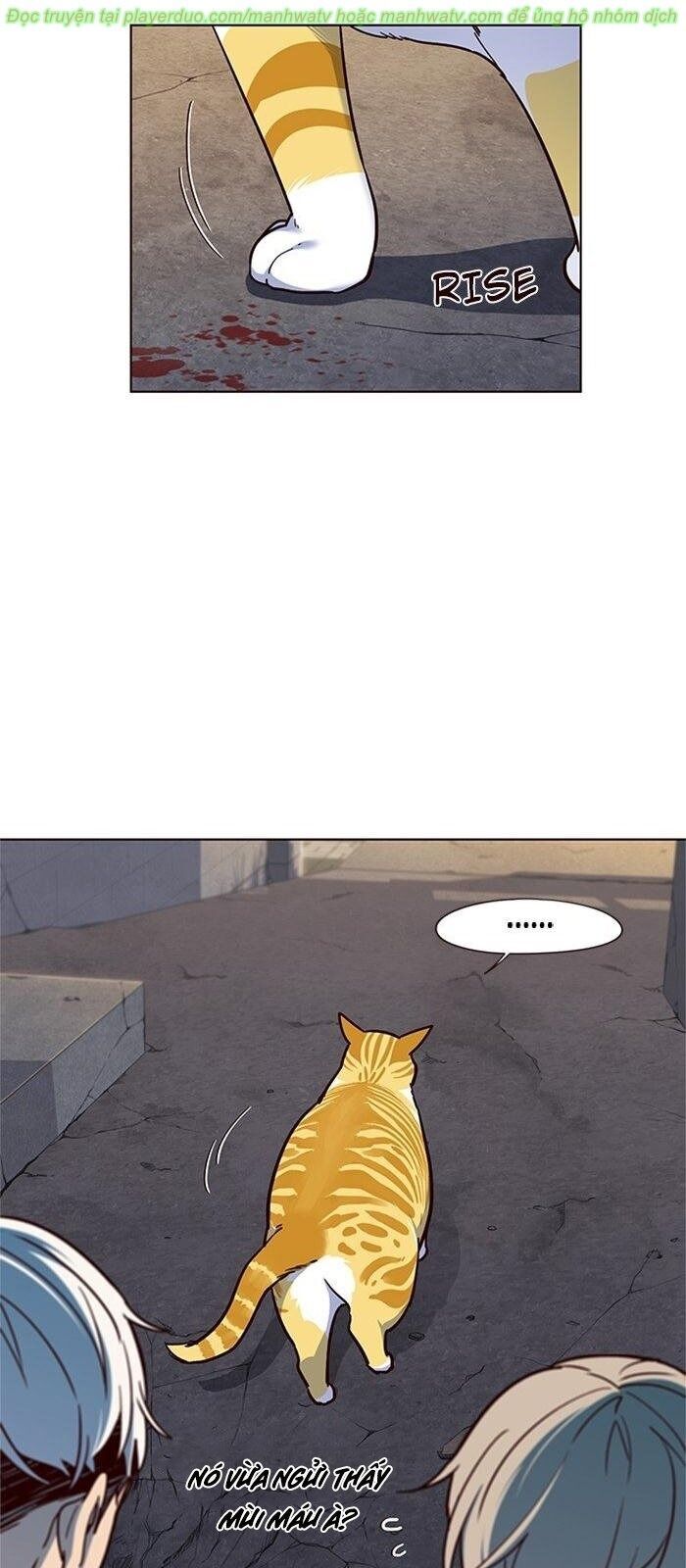 Hoá Thân Thành Mèo - Chapter 41 - Page 69