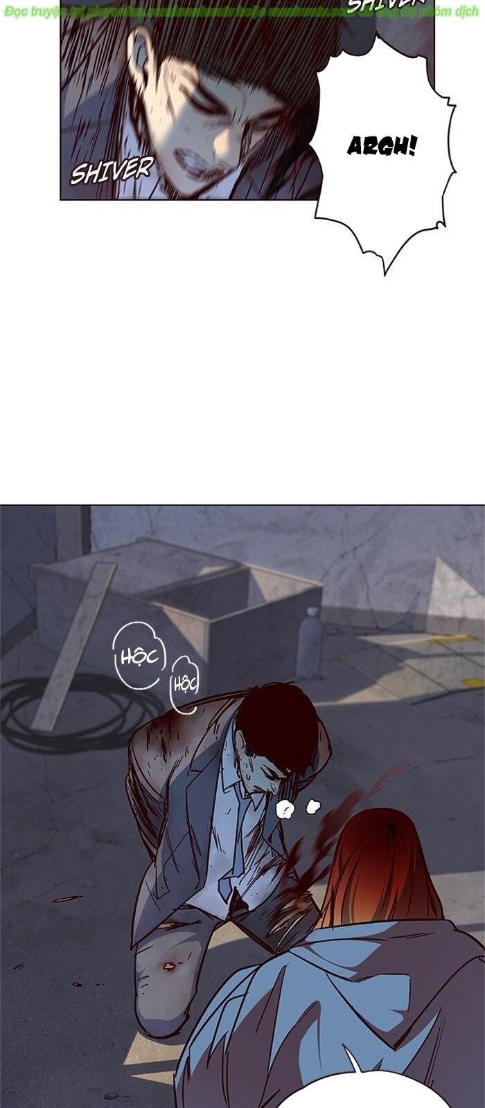 Hoá Thân Thành Mèo - Chapter 41 - Page 75