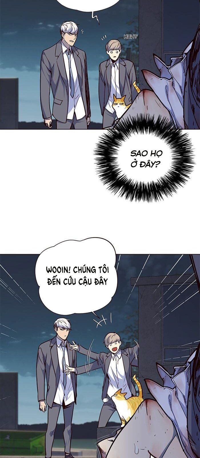 Hoá Thân Thành Mèo - Chapter 42 - Page 11