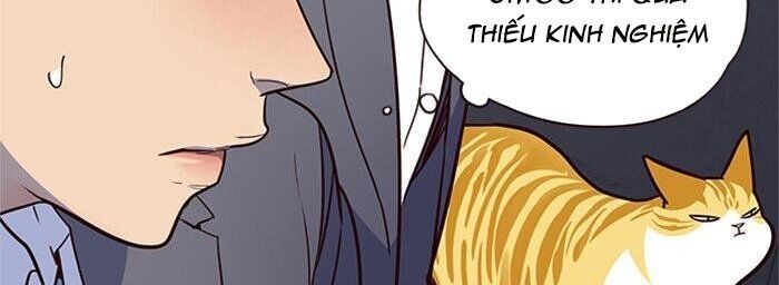 Hoá Thân Thành Mèo - Chapter 42 - Page 32