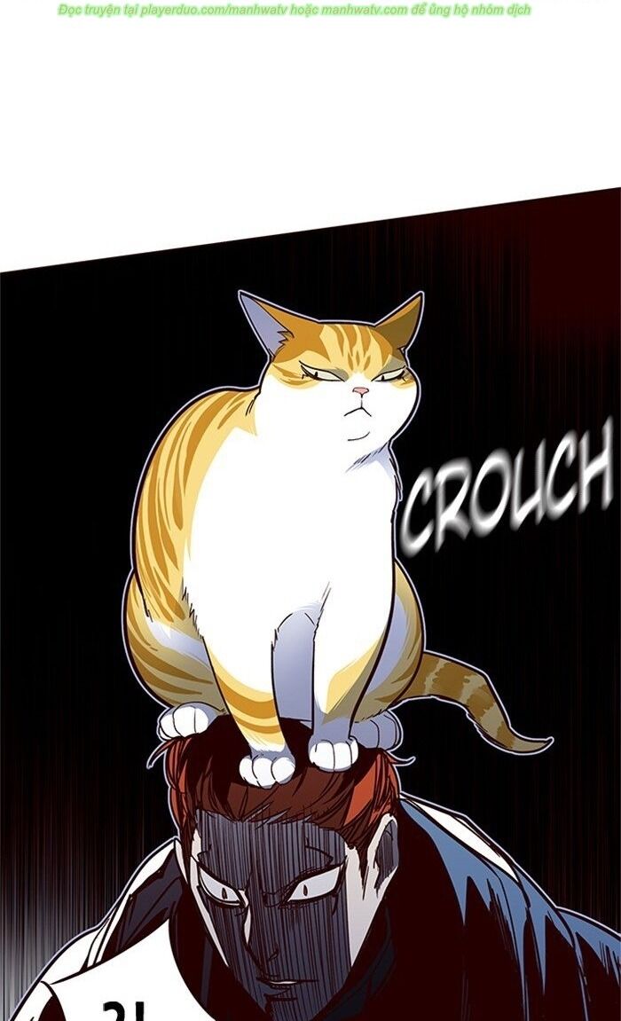 Hoá Thân Thành Mèo - Chapter 43 - Page 61