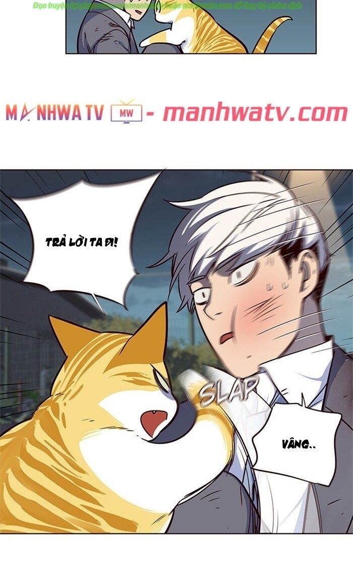 Hoá Thân Thành Mèo - Chapter 43 - Page 72