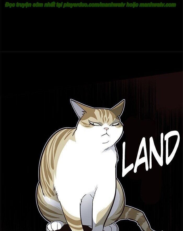 Hoá Thân Thành Mèo - Chapter 45 - Page 72