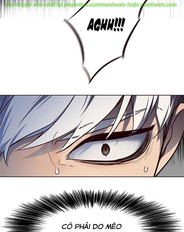 Hoá Thân Thành Mèo - Chapter 45 - Page 75