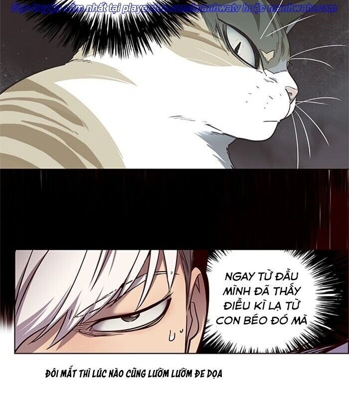 Hoá Thân Thành Mèo - Chapter 46 - Page 49