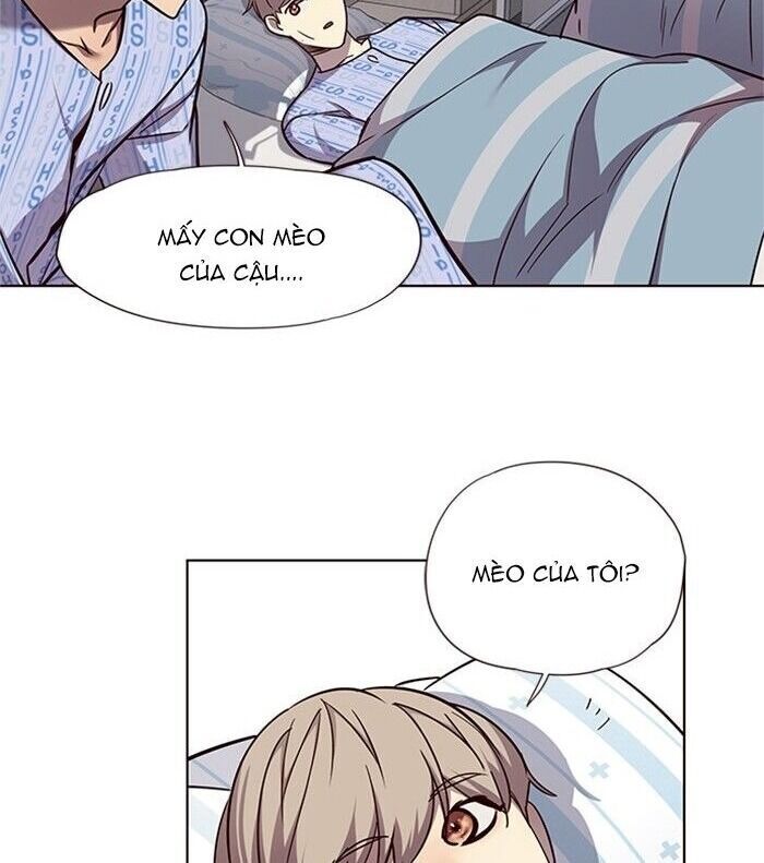 Hoá Thân Thành Mèo - Chapter 46 - Page 52
