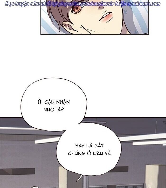 Hoá Thân Thành Mèo - Chapter 46 - Page 53
